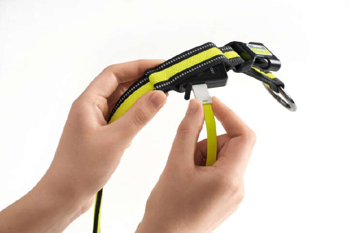 HUNTER LED-Leuchthalsband Manoa Glow